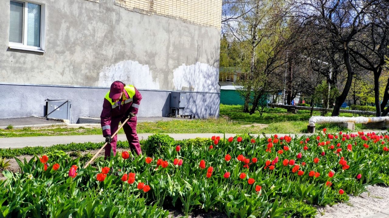 Харківські комунальники виконують весняні роботи у дворах